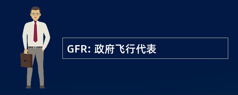 GFR: 政府飞行代表