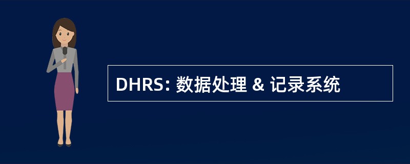 DHRS: 数据处理 & 记录系统