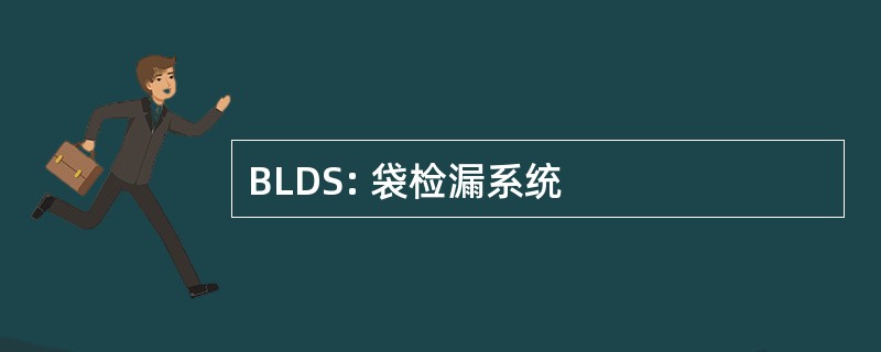 BLDS: 袋检漏系统