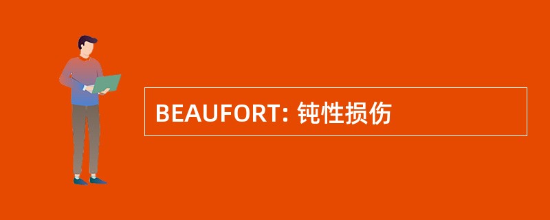 BEAUFORT: 钝性损伤