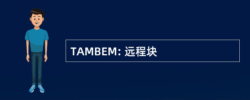 TAMBEM: 远程块