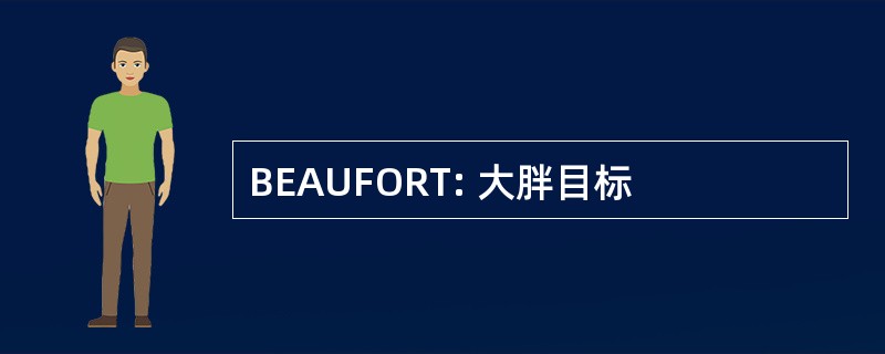 BEAUFORT: 大胖目标