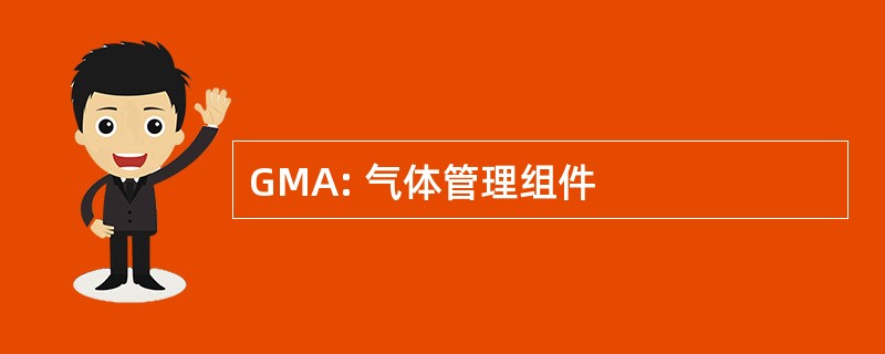 GMA: 气体管理组件