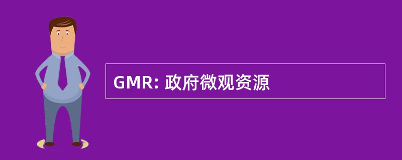 GMR: 政府微观资源