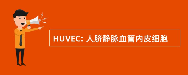 HUVEC: 人脐静脉血管内皮细胞