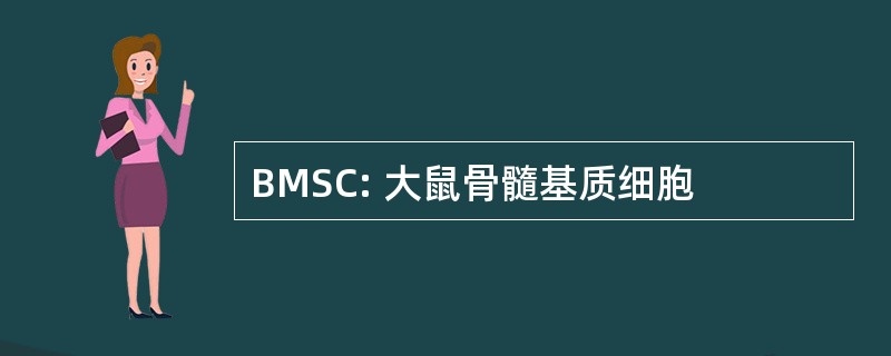 BMSC: 大鼠骨髓基质细胞