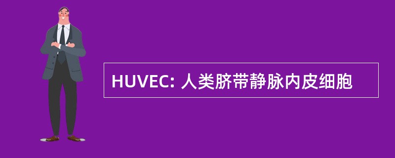 HUVEC: 人类脐带静脉内皮细胞