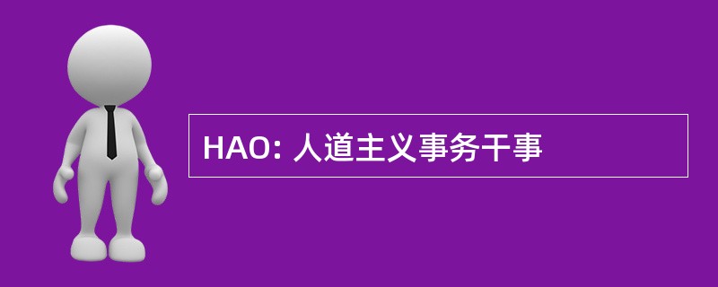 HAO: 人道主义事务干事