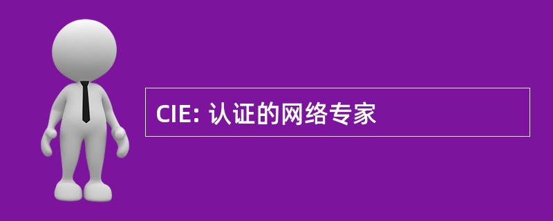 CIE: 认证的网络专家