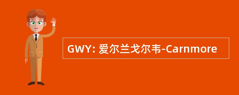 GWY: 爱尔兰戈尔韦-Carnmore