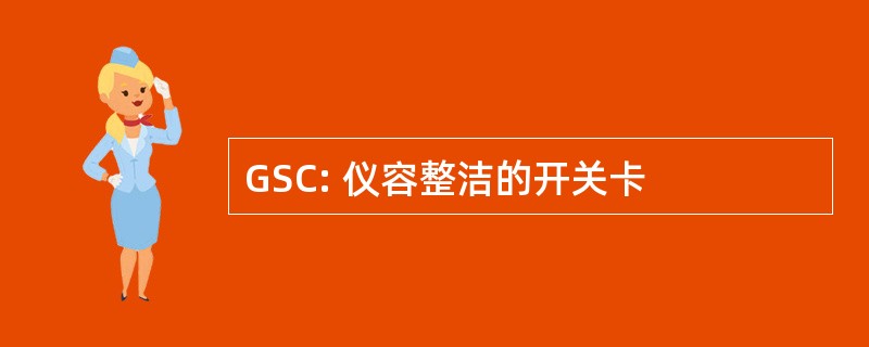 GSC: 仪容整洁的开关卡