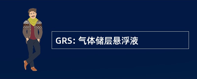 GRS: 气体储层悬浮液