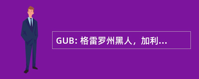 GUB: 格雷罗州黑人，加利福尼亚苏尔，墨西哥-格雷罗州黑人机场