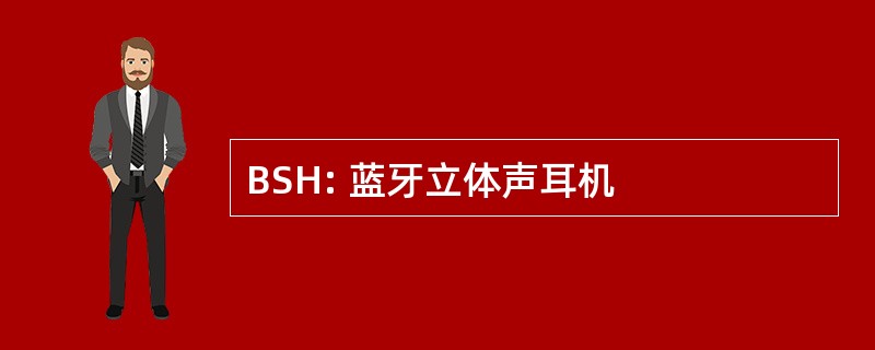 BSH: 蓝牙立体声耳机