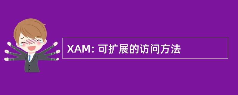 XAM: 可扩展的访问方法