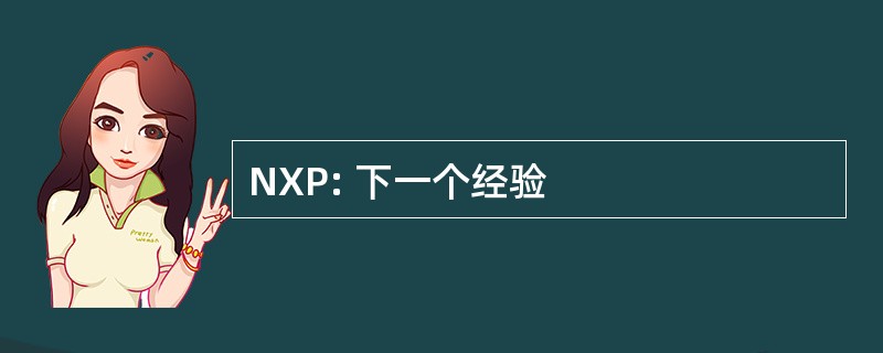 NXP: 下一个经验