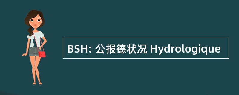 BSH: 公报德状况 Hydrologique