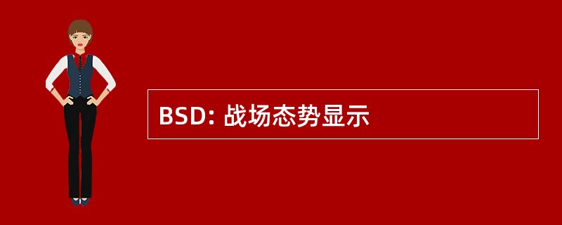 BSD: 战场态势显示