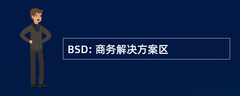 BSD: 商务解决方案区