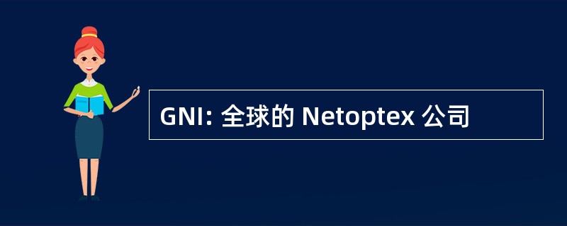 GNI: 全球的 Netoptex 公司