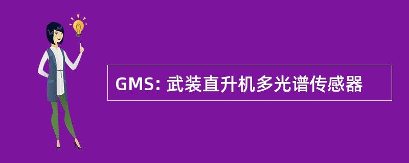 GMS: 武装直升机多光谱传感器