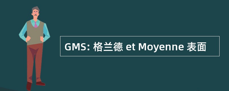 GMS: 格兰德 et Moyenne 表面