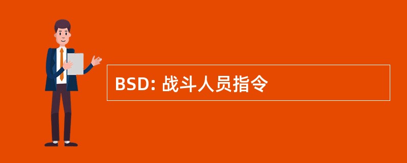 BSD: 战斗人员指令