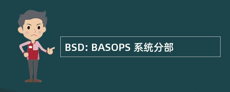 BSD: BASOPS 系统分部