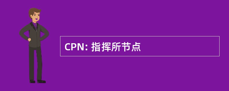 CPN: 指挥所节点