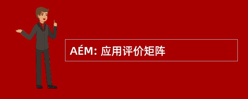 AÉM: 应用评价矩阵