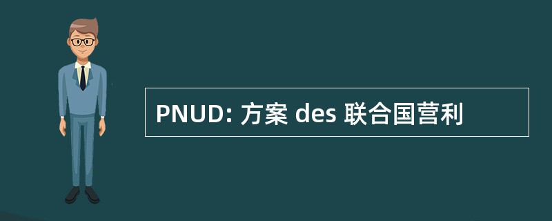 PNUD: 方案 des 联合国营利