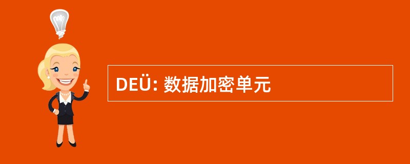 DEÜ: 数据加密单元