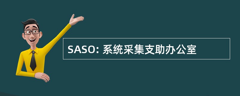 SASO: 系统采集支助办公室