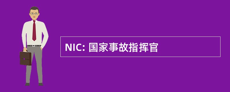 NIC: 国家事故指挥官