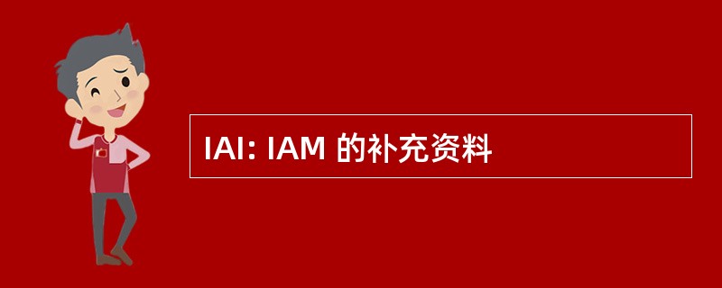 IAI: IAM 的补充资料