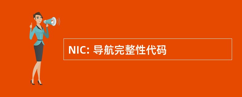 NIC: 导航完整性代码