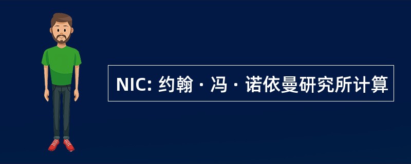 NIC: 约翰 · 冯 · 诺依曼研究所计算