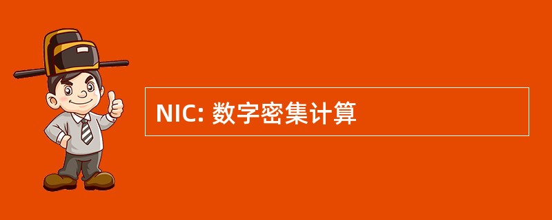 NIC: 数字密集计算