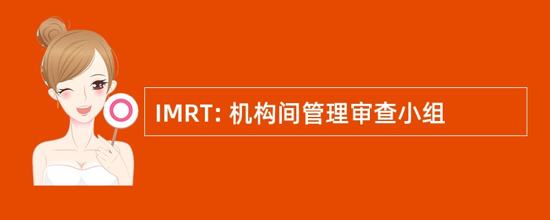 IMRT: 机构间管理审查小组