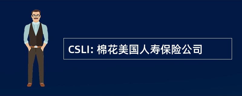 CSLI: 棉花美国人寿保险公司