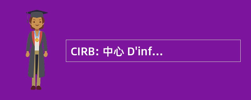 CIRB: 中心 D&#039;informatique 倒拉大区布鲁塞尔