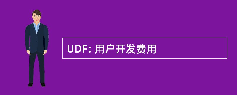 UDF: 用户开发费用