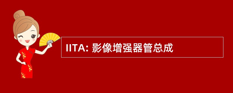 IITA: 影像增强器管总成