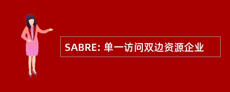 SABRE: 单一访问双边资源企业