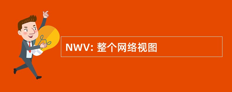 NWV: 整个网络视图