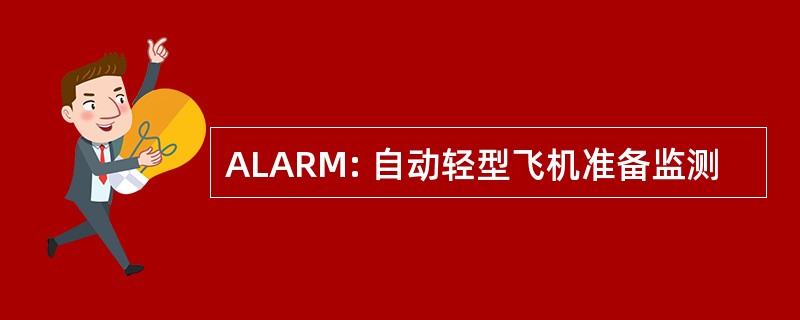 ALARM: 自动轻型飞机准备监测