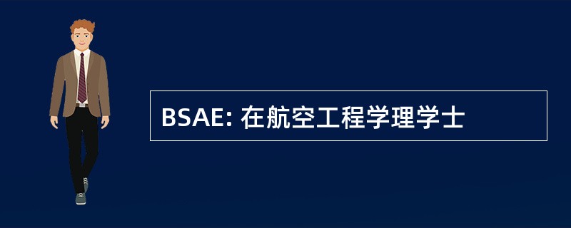 BSAE: 在航空工程学理学士