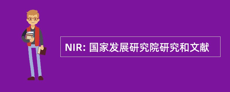 NIR: 国家发展研究院研究和文献