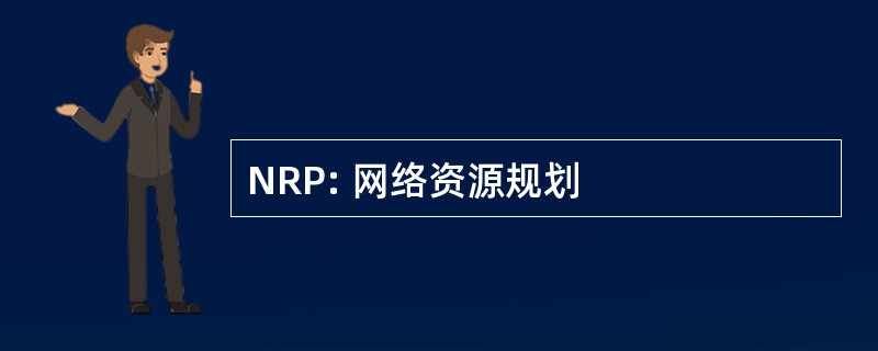 NRP: 网络资源规划