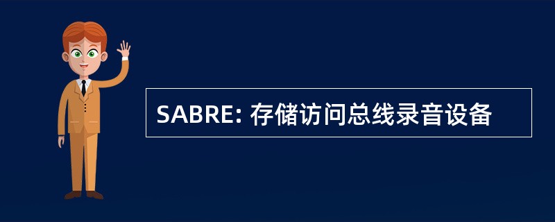 SABRE: 存储访问总线录音设备